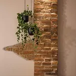 Apartman Casa - Homes Brassó