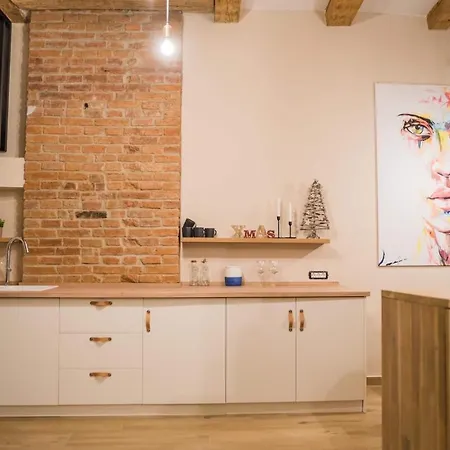 Casa - Homes 公寓 布拉索夫