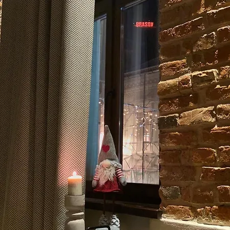 Casa - Homes 公寓 布拉索夫