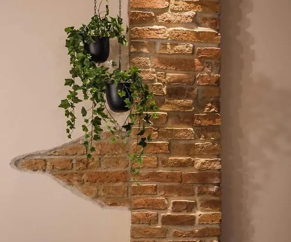 Apartment Casa - Homes Brasov